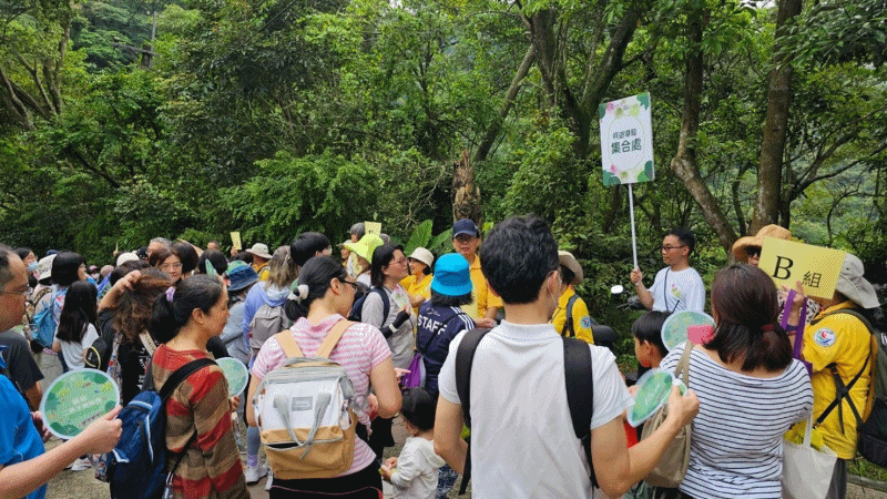 【動態圖組】2025新北市客家桐花祭即將浪漫登場 邀您一起探索全能明星〜王品澔約會秘